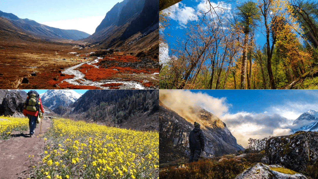 Discovering The 15 Most Breathtaking Treks In Uttarakhand