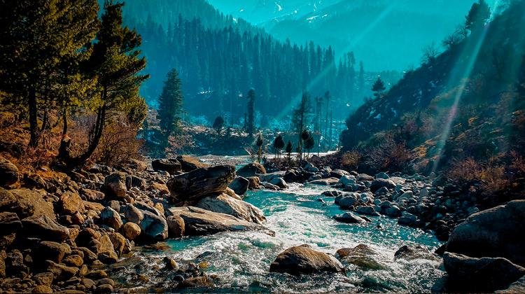 MD Tour Travels on LinkedIn: #kasol #parvativalley #himachal #travel #place  #nature #greenscreen…