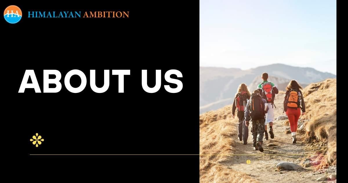 About Us: Your Trusted Guides in Trekkin...